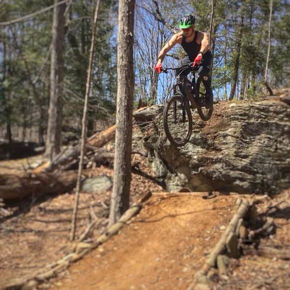 Meet your Posher, Luca - Picture 1 of 1